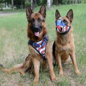 Усиленный кожаный намордник с рисунком для немецкой овчарки «American flag»